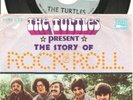 RARE TURTLES 45 & PICTURE SLEEVE - 