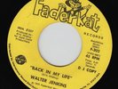WALTER JENKINS Back In My Life CROSSOVER SOUL 45 * Listen FADER KAT Northern 7