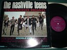 THE NASHVILLE TEENS: 