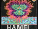 Peter Michael Hamel 