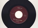 RARE DOO WOP NICKY ADDEO / PLAZAS  DANNY BOY  REVELATION