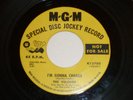 RARE NORTHERN SOUL- THE VELOURS-I'M GONNA CHANGE-MGM PROMO COPY
