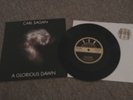 Carl Sagan A GLORIOUS DAWN 8