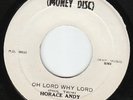 Horace Andy - Oh Lord Why Lord - KILLER ???