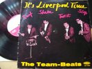 LP  THE TEAM BEATS  DEUTSCH.VOGUE
