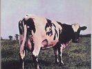 PINK FLOYD Atom Heart Mother ANADISC 200G MFSL 1/2 Speed WATERS Gilmour LTD ED m