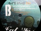 Fat Freddys Drop - Cay's Crays (Digital Mystikz Version) 12