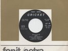Walter Rizzati 45 Galassia Italian 60s Shake psych fuzz hear