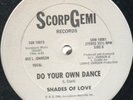 Shades Of Love - Do Your Own Dance - Original Press Rare Disco 12 Inch