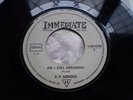 P P ARNOLD - AM I STILL DREAMING - NORTHERN / MOD 45