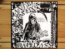 Anti Cimex Raped Ass LP TOP condition swedish punk like mob 47 discharge crust