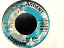 Big Star PROMO 45 O, My Soul/(LONG) NM ARDENT Alex Chilton 1973 RADIO CITY RARE