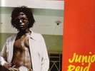 JUNIOR REID/BLACK ROOTS LMLP002/ORIGINAL FOREIGN MIND LP..EX RARE..  LISTEN