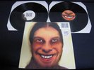Aphex Twin I Care Because You Do UK DBL Vinyl LP Richard D James