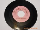 The Leopards, They All Play Loud / I'm Living in a Jungle, Moon Records 101 NM-