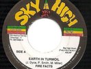 Fire Facts - Earth In Turmoil - Sky High - Digi Reggae (Jah Shaka Spin)