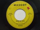 Doo Wop 45 THE PASTELS Been So Long on Mascot