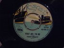 1969 UK ESCORT 45 TONY SCOTT WHAT AM I TO DO LIQUIDATOR VOCAL REGGAE SKA