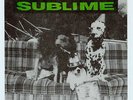 SUBLIME RARE “WORK THAT WE DO” VINYL 7
