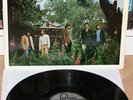 RARE Deutsche Pretty Things Get the picture LP 1965 Fontana MONO VG++/VG+ German