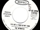 THE INTIMATES Tiger In My Tank EPIC LOU REED pre VELVET U surf hot rod WLPromo
