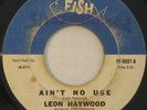 LEON HAYWOOD Ain't No Use RARE NORTHERN SOUL 45 Fat Fish MP3
