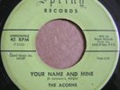 The Acorns – Your Name And Mine/Young. Spring records