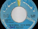 rare Soul 45 SHEFFIELD you're wrong STONE LADY Hear