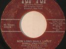 JAMES LEWIS FIELDS How Long Shall I Wait FUNK/SOUL/BREAKS 45 mp3