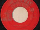 SUNRISE MOVEMENT Running Wild DETROIT FUNK/SOUL/BREAKS 45 mp3