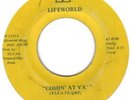 VOCODER  FUNK  BOOGIE    PYRAMID PLUS    COMIN' AT YA'    LIFEWORLD