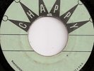 AL & THE VIBRATORS / TWILIGHT SIDE / LISTEN
