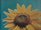 children of one lp original 1969 psych