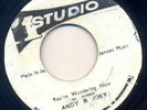 STUDIO ONE SKA YOU'RE WONDERING NOW ANDY & JOEY ?