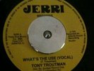 Northern / Modeen Soul Tony Troutman Whats The Use