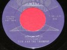 TICO AND THE TRIUMPHS 