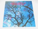 Amon Düül 2 - Phallus Dei - Classic 1969 Krautrock LP - SEALED