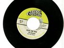 RARE The Swingers Ray Romero - Capri Records (see tracks) Tex-Mex 45