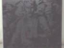 Der Blutharsch - Der Sieg Des Lichtes ist des.. (Vinyl)