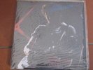 BRUCE SPRINGSTEEN FOR YOU WHO WHEREN'T THERE THAT NIGHT 2 lp set Amsterdam 1975