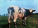 PINK FLOYD 