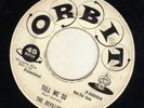 ROCKABILLY R&B bw/ DOOWOP--DEVILLES--PROMO--HEAR BOTH--1959 on orbit