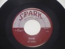 RARE The Robins Framed/Loop De Loop Mambo-Maroon and Silver Spark 107-7