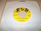 THE JEWELS  A FOOL IN PARADISE R&B RECORDS  RARE AND SUPER