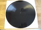 VIVES DUBPLATE - 6 NEXT CUTS TO DANDY LION ON A 12
