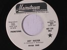 FEVER TREE: Hey Mister / I Can Beat Your Drum 45 (dj) rare Rock & Pop