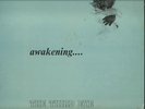 THE THIRD EYE  SOUTH AFRICA PSYCH ROCK LP  AWAKENING
