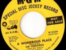 THE CHEROKEES A Wondrous Place - GARAGE SOUL MOD 45 - HEAR IT