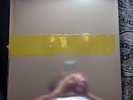 Orion - Ryan Adams Gatefold Vinyl LP