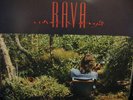 ENRICO RAVA - WHAT A DAY - LP - ITALIAN JAZZ - GALA RECORDS ITALY  NM